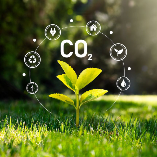 Planta con simbolos de reducción de emisiones de carbono